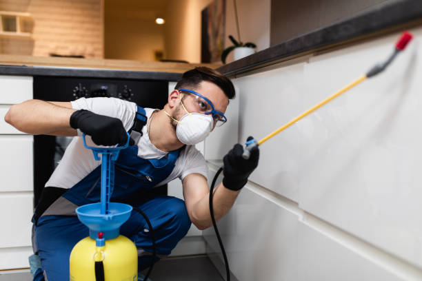 Best Residential Pest Control  in Whiting, WI