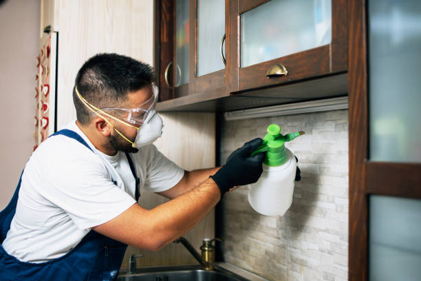 Best Pest Removal Services  in Whiting, WI