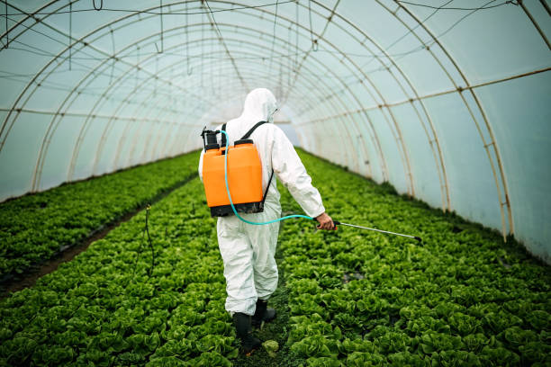 Best Local Pest Control Services  in Whiting, WI