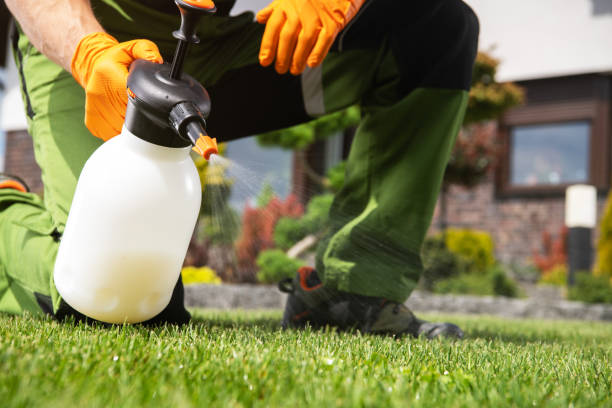 Best Affordable Pest Control Services  in Whiting, WI