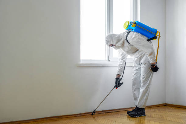 Best Affordable Pest Control Services  in Whiting, WI