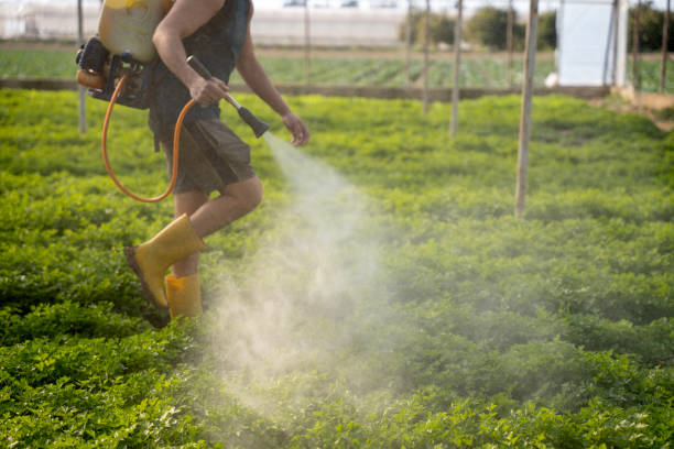Best Residential Pest Control  in Whiting, WI
